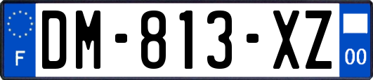 DM-813-XZ