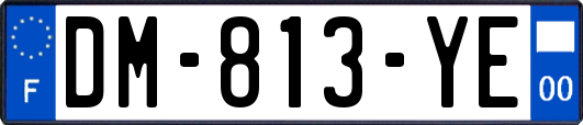 DM-813-YE