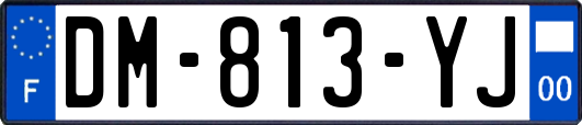 DM-813-YJ