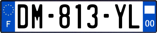 DM-813-YL