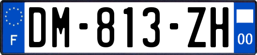 DM-813-ZH