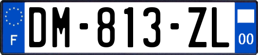 DM-813-ZL