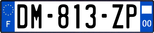 DM-813-ZP