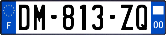 DM-813-ZQ