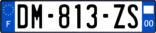 DM-813-ZS