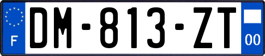 DM-813-ZT