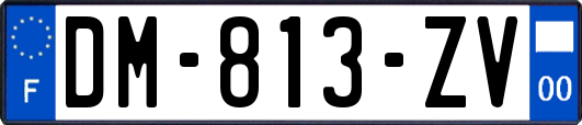 DM-813-ZV