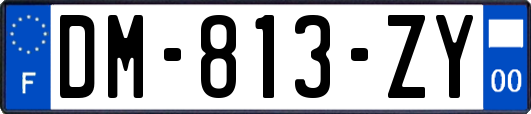 DM-813-ZY