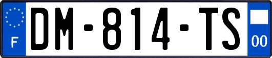 DM-814-TS