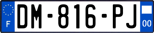 DM-816-PJ
