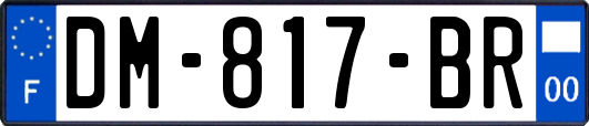 DM-817-BR