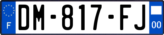 DM-817-FJ