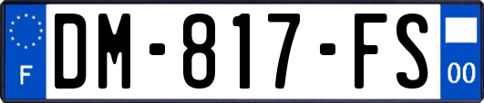 DM-817-FS