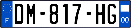 DM-817-HG