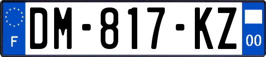 DM-817-KZ