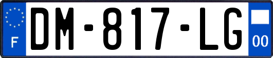 DM-817-LG