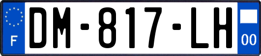 DM-817-LH