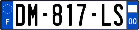 DM-817-LS