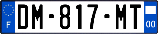 DM-817-MT
