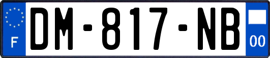 DM-817-NB