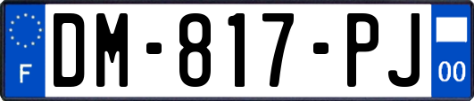 DM-817-PJ