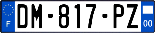 DM-817-PZ