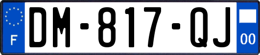 DM-817-QJ