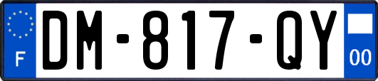 DM-817-QY