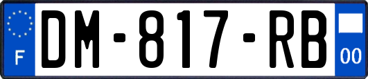 DM-817-RB