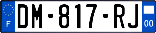 DM-817-RJ