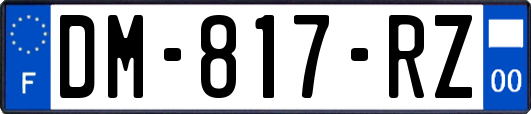 DM-817-RZ