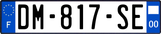 DM-817-SE