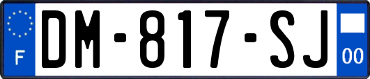 DM-817-SJ