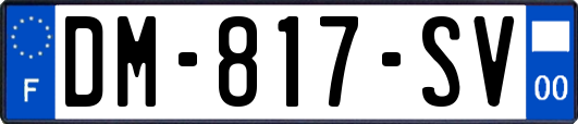 DM-817-SV