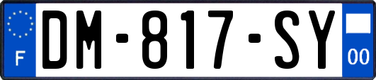 DM-817-SY