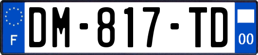 DM-817-TD