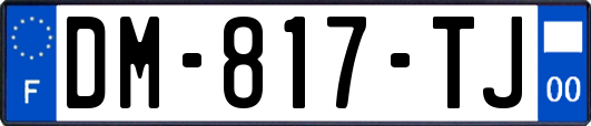 DM-817-TJ