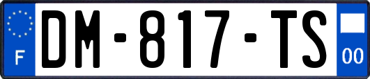 DM-817-TS