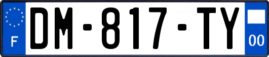 DM-817-TY