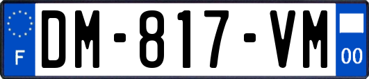 DM-817-VM