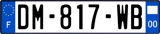 DM-817-WB