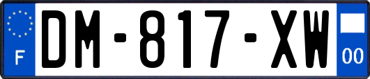 DM-817-XW