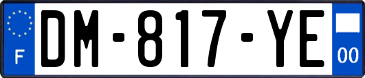 DM-817-YE