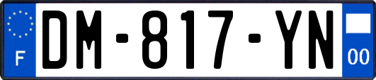 DM-817-YN