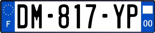 DM-817-YP