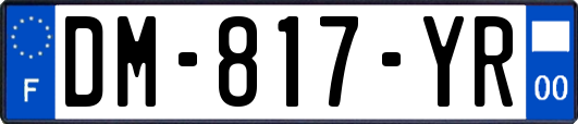DM-817-YR
