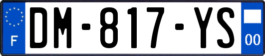 DM-817-YS