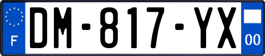 DM-817-YX