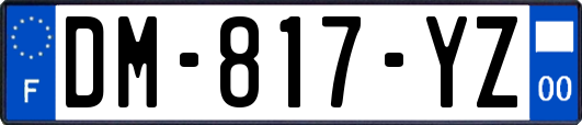DM-817-YZ