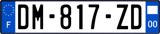 DM-817-ZD